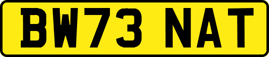 BW73NAT