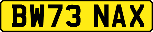 BW73NAX