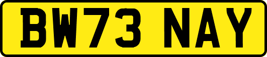 BW73NAY