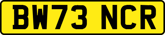 BW73NCR
