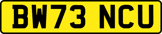 BW73NCU