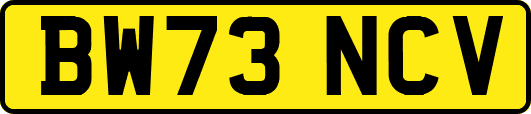 BW73NCV