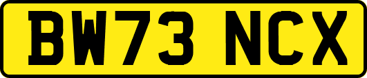 BW73NCX