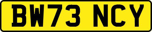 BW73NCY