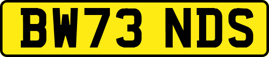 BW73NDS