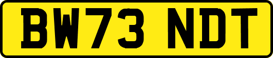 BW73NDT