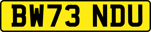 BW73NDU