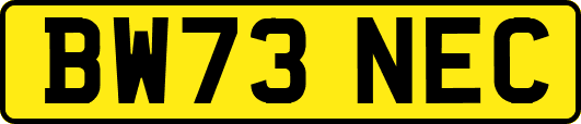 BW73NEC