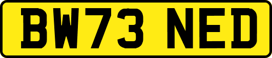 BW73NED