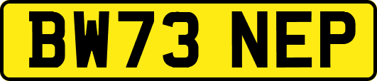 BW73NEP