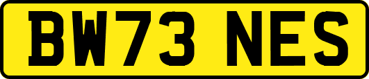 BW73NES