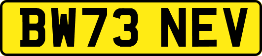 BW73NEV