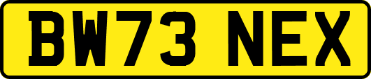 BW73NEX