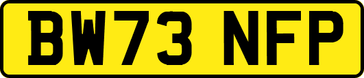 BW73NFP