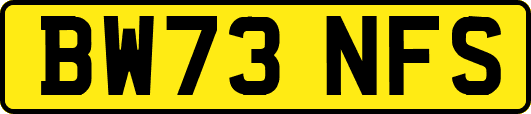 BW73NFS