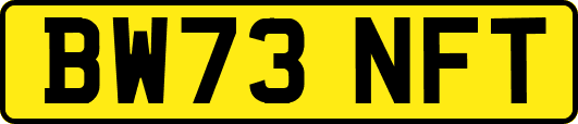 BW73NFT