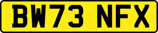 BW73NFX