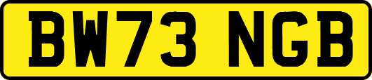 BW73NGB