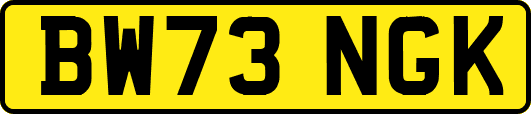 BW73NGK