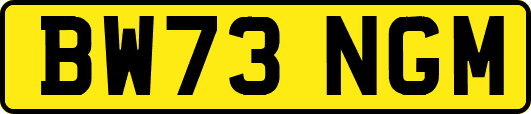 BW73NGM