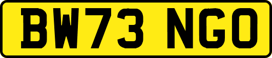 BW73NGO