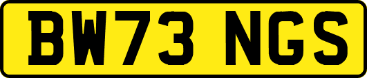 BW73NGS