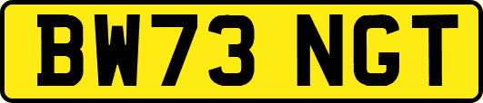 BW73NGT