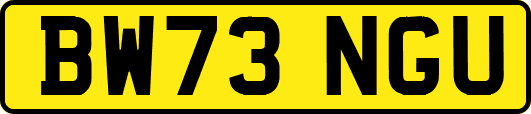 BW73NGU