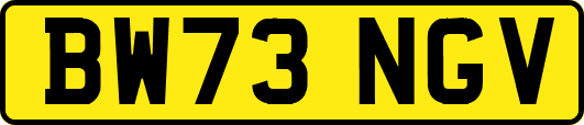 BW73NGV
