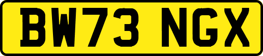 BW73NGX