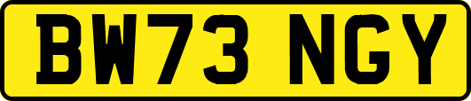 BW73NGY