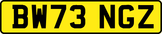 BW73NGZ