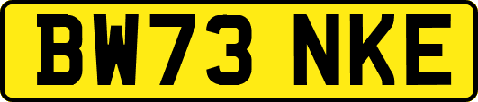 BW73NKE