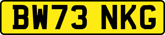BW73NKG