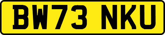 BW73NKU