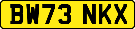 BW73NKX