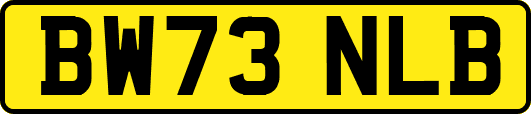 BW73NLB