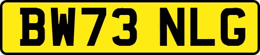 BW73NLG