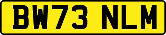 BW73NLM