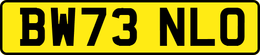 BW73NLO