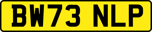 BW73NLP