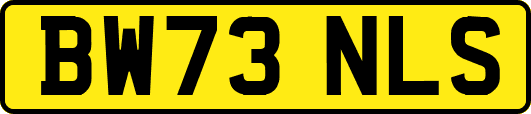 BW73NLS