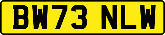 BW73NLW
