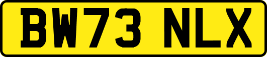 BW73NLX