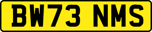 BW73NMS