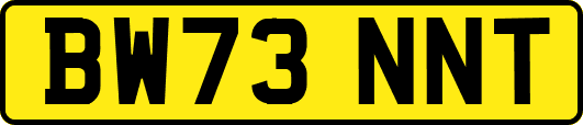 BW73NNT