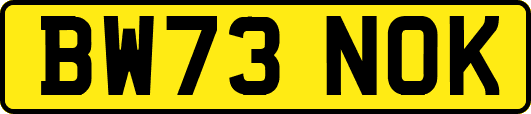 BW73NOK