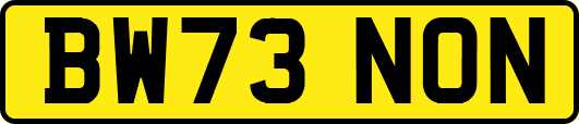 BW73NON