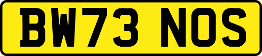 BW73NOS