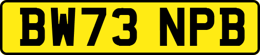 BW73NPB
